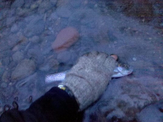 2011-02-13 17.25.31.jpg 2011-02-13 17.25.31.jpg