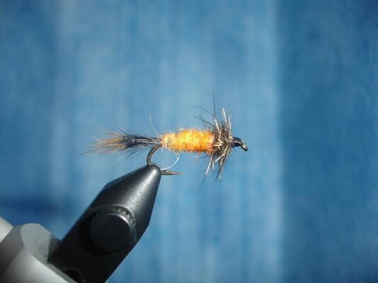 Flies 013.jpg
