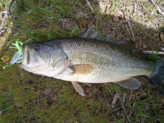 2011-04-01 13.48.33.jpg