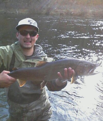 bull trout 3.jpg