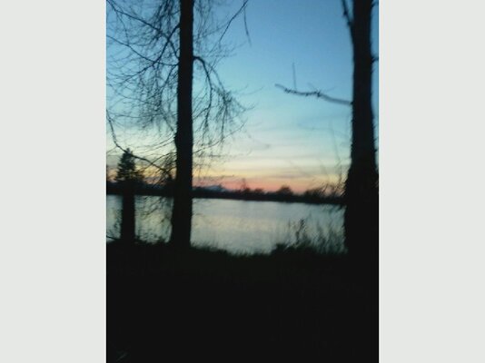pond sunset.jpg