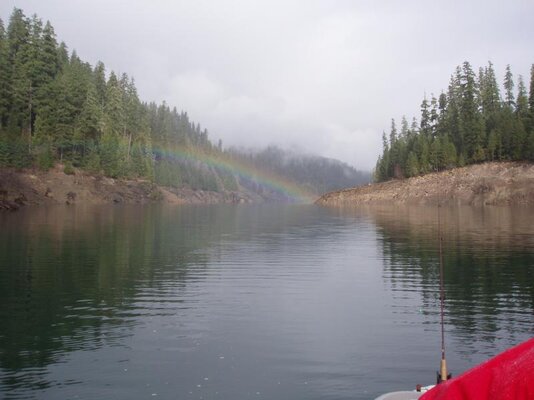 Cougar Rainbow.jpg