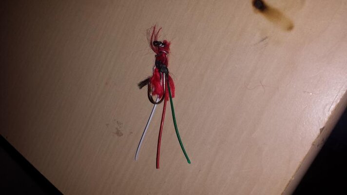 20160225_203859.jpg