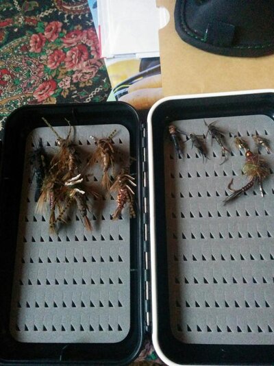 bugs.jpg