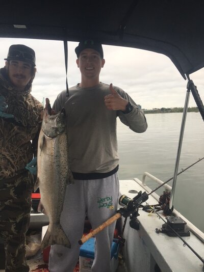 Salmon 1.jpg
