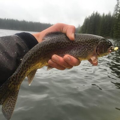 timothy lake bow 2.jpg timothy lake bow 2.jpg