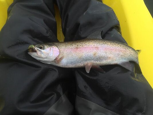 timothy lake bow 4.jpg timothy lake bow 4.jpg