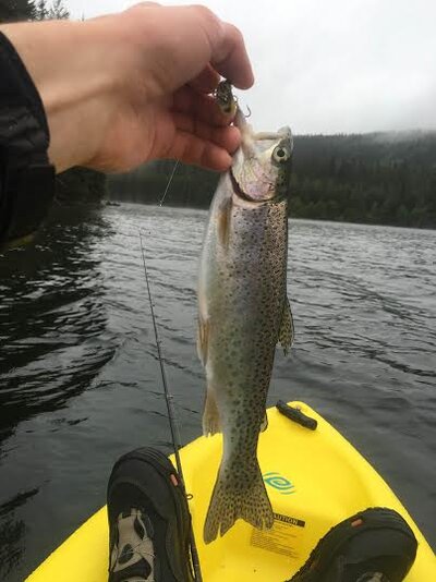 timothy lake bow.jpg timothy lake bow.jpg