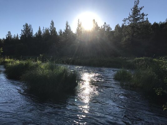 Little Deschutes River Fishing Reports