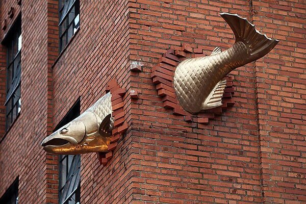 salmon.jpg