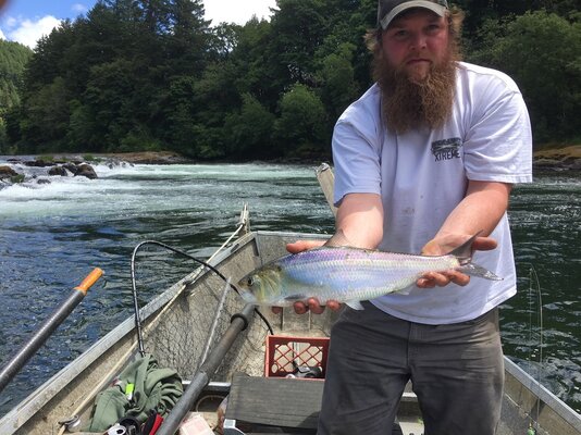 Umpqua River Fishing Reports