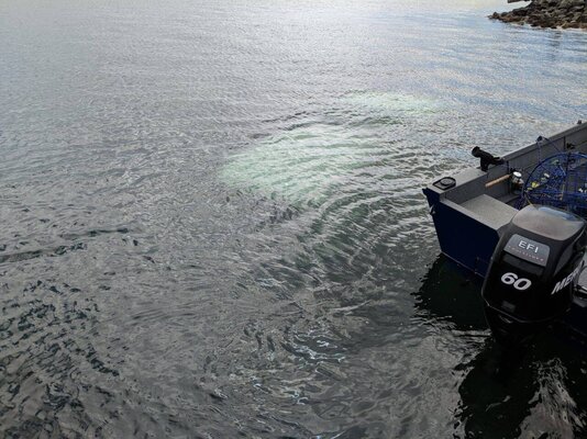 Sunken Truck.jpg Sunken Truck.jpg