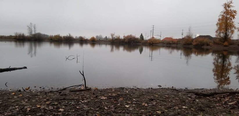 ImageUploadedByTapatalk1543437009.7797.jpg