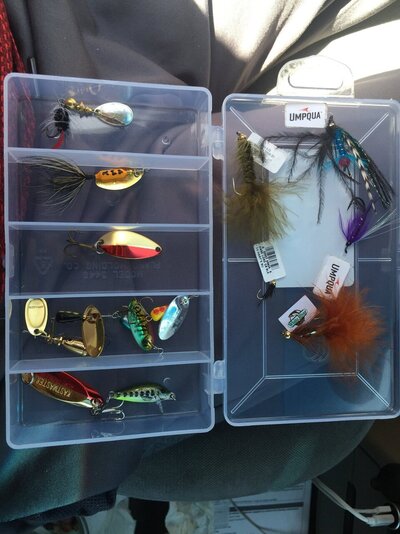 Wolf Creek and upper Nehalem River fishing