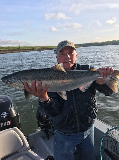201905041springer.jpg