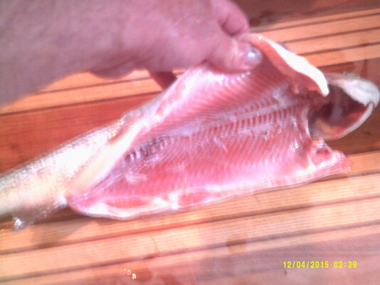 DSCF0004.JPG
