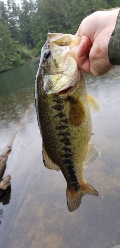 20190525_163814.jpg