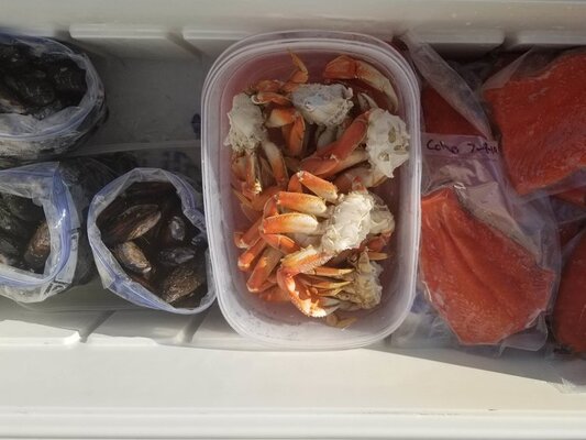 20190707musselscohocrab_184533.jpg