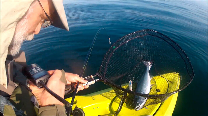 Depoe Bay Fishing Reports