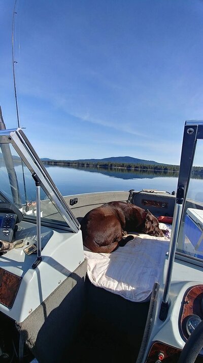 20191031_130701_HDR.jpg