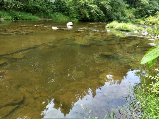 bait for winter steelhead