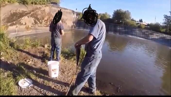 Spillways on Long Tom River