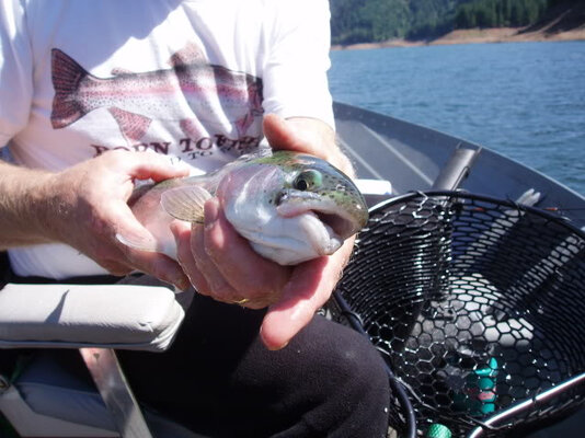middle-fork-willamette-river6.jpg