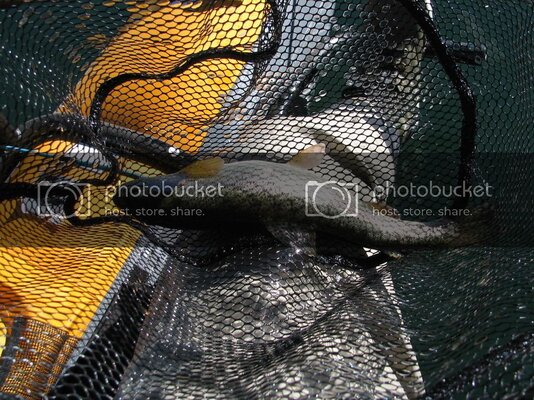 IMG_0471.jpg
