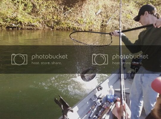 troutnet.jpg troutnet.jpg