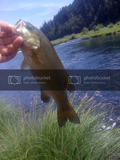IMG_0944.jpg IMG_0944.jpg