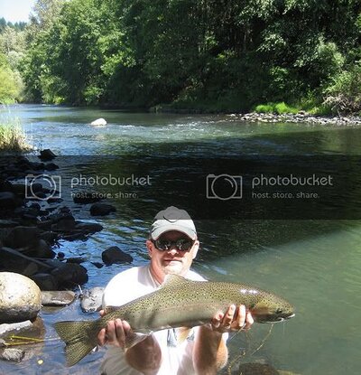 steelheadorrainbowtrout.jpg