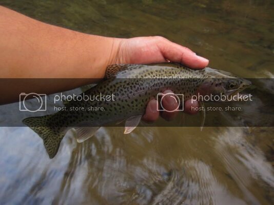IMG_0053.jpg