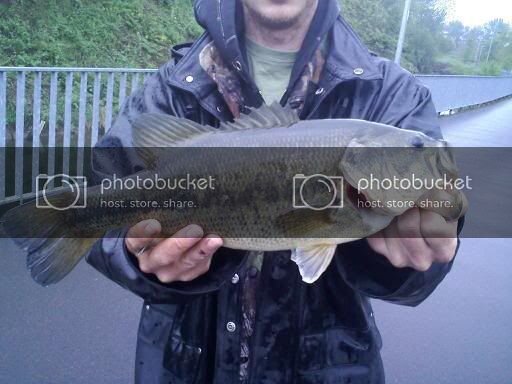 bass2010.jpg bass2010.jpg