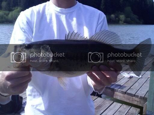 bass2.jpg bass2.jpg