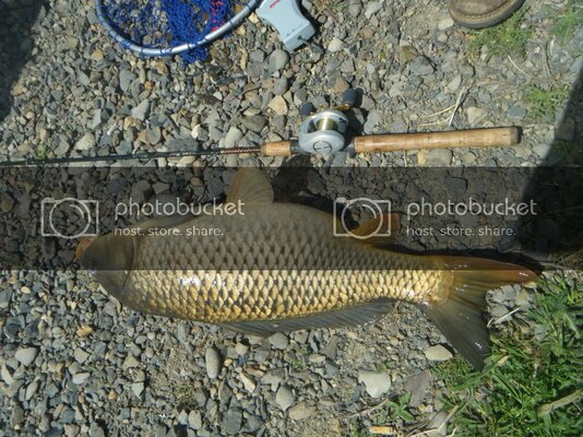 125carp.jpg 125carp.jpg