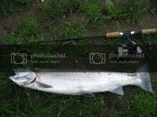 2010fishingpicsmoreSteelies005.jpg 2010fishingpicsmoreSteelies005.jpg
