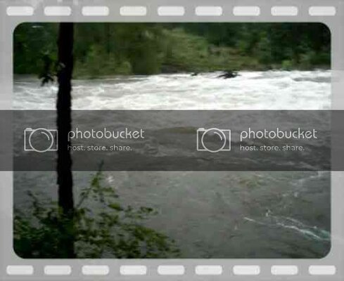 th_fish001-1.jpg