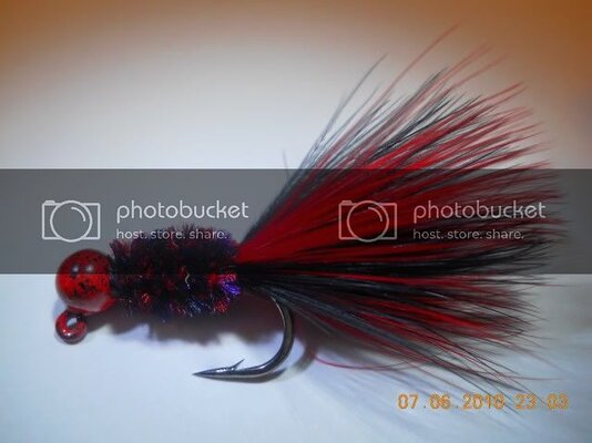Steelheadtwilightkillers2.jpg Steelheadtwilightkillers2.jpg