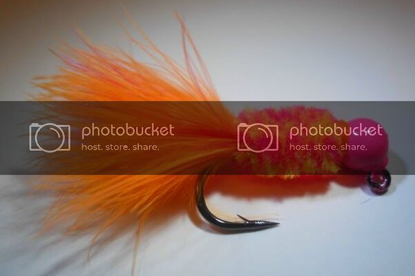 Steelheadshrimpkillers1.jpg Steelheadshrimpkillers1.jpg