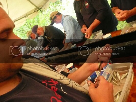 fishclipping081.jpg