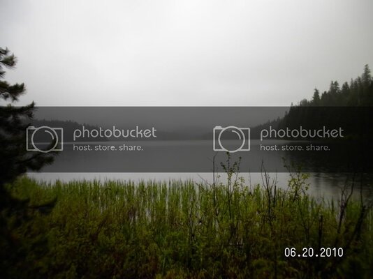 SANY0031 SANY0031