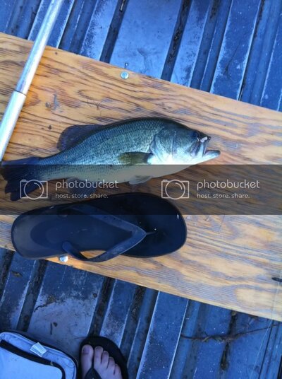 IMG_0127.jpg IMG_0127.jpg