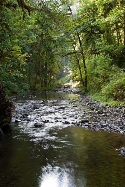 Abiqua Creek