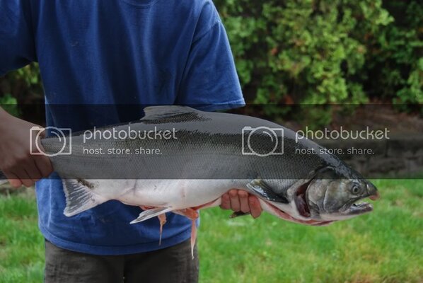 DSC_5332.jpg DSC_5332.jpg