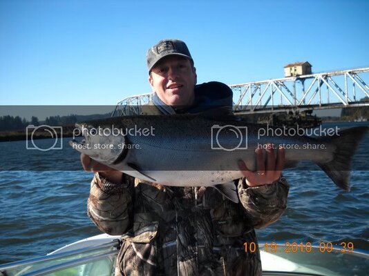 Bills30inchchinook.jpg