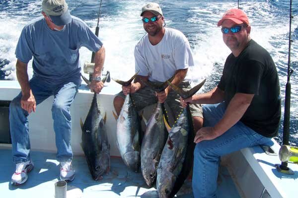 November102010C.jpg November102010C.jpg