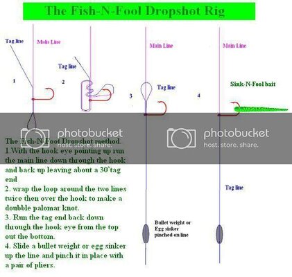 Thefish-N-FoolDropshot-1.jpg Thefish-N-FoolDropshot-1.jpg