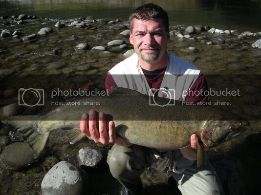 Coho10-29-2010021.jpg Coho10-29-2010021.jpg