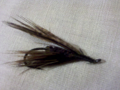 IMG_20101230_165725.jpg