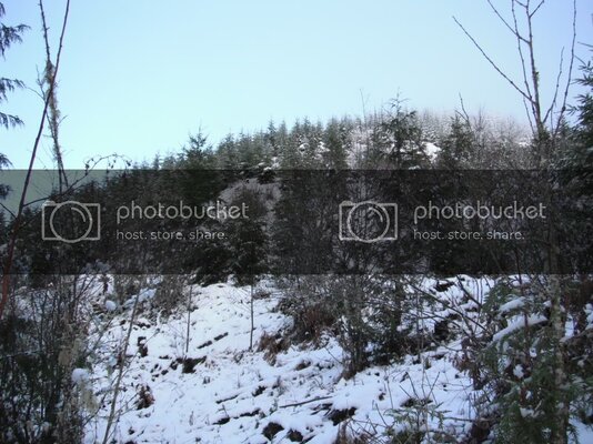 1-7-10SteelheadPics001.jpg